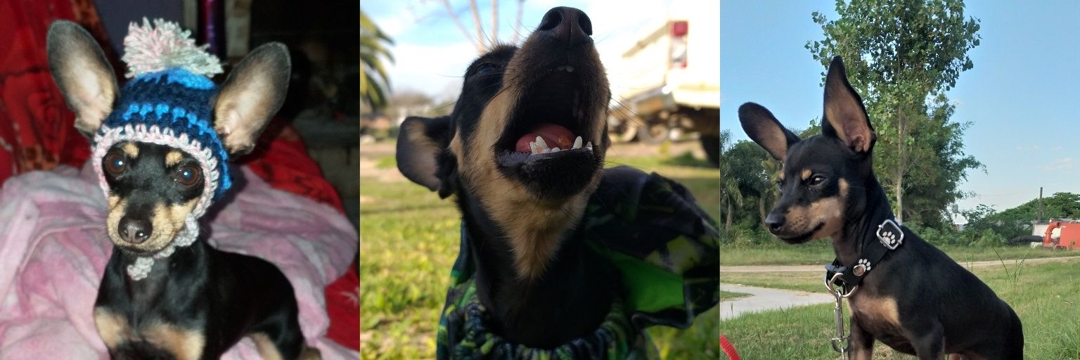 AbrilRaffo1's profile banner image