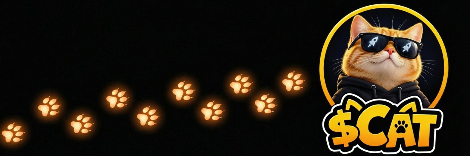 CatArmySol's profile banner image