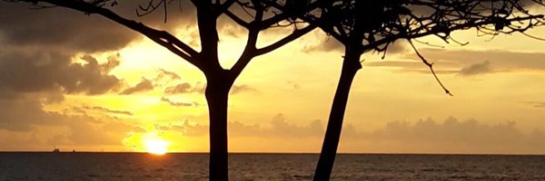 NikkiAround Profile Banner