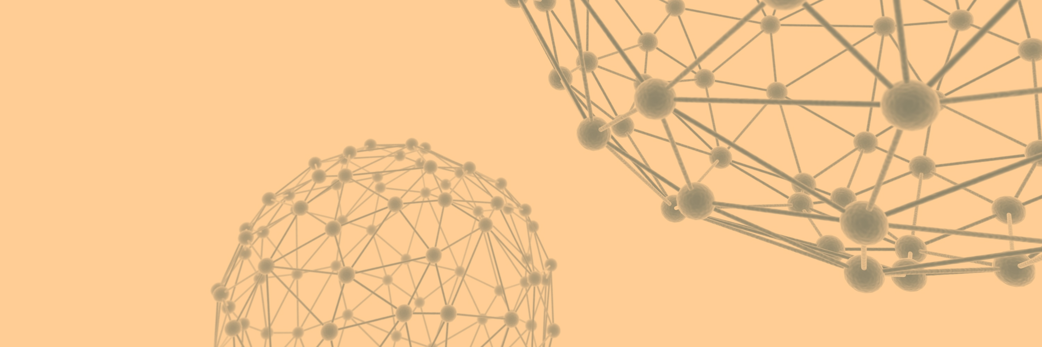 Crypto Capital banner