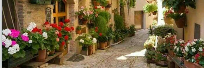 h5114625's profile banner image