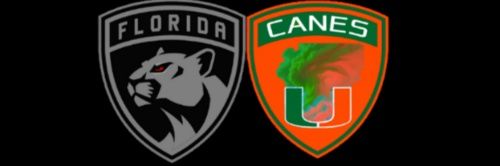 Fellibylur pantteri banner