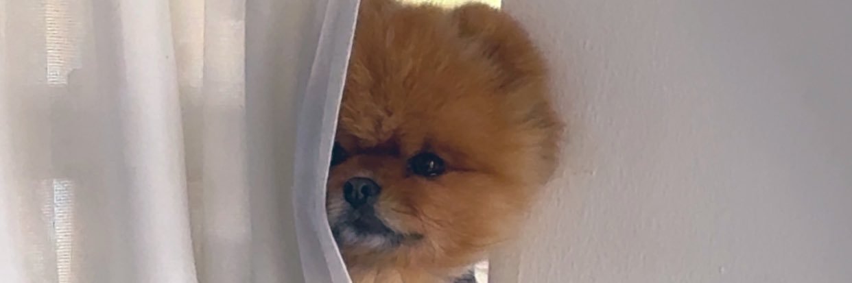 ma3ol_'s profile banner image