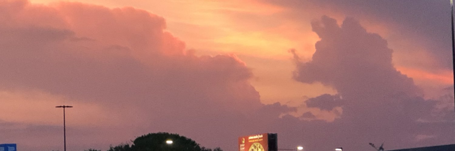 lesliedemarco44's profile banner image