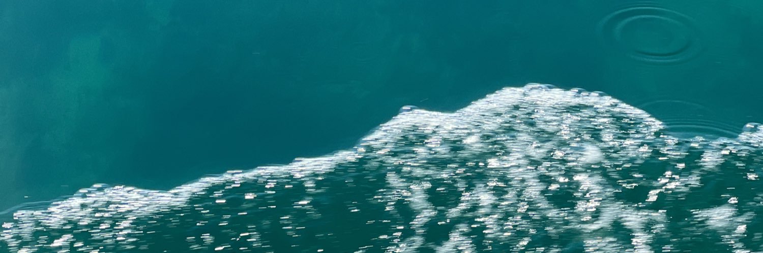 netflixandroll's profile banner image