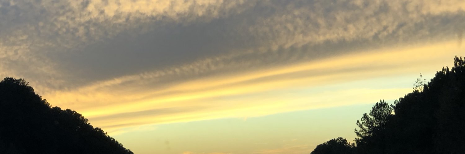 alfano_sterling's profile banner image