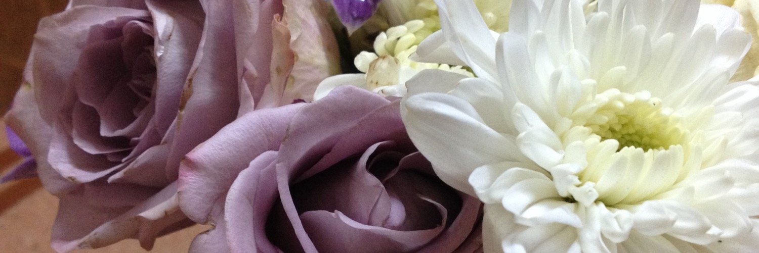 maraym3344's profile banner image