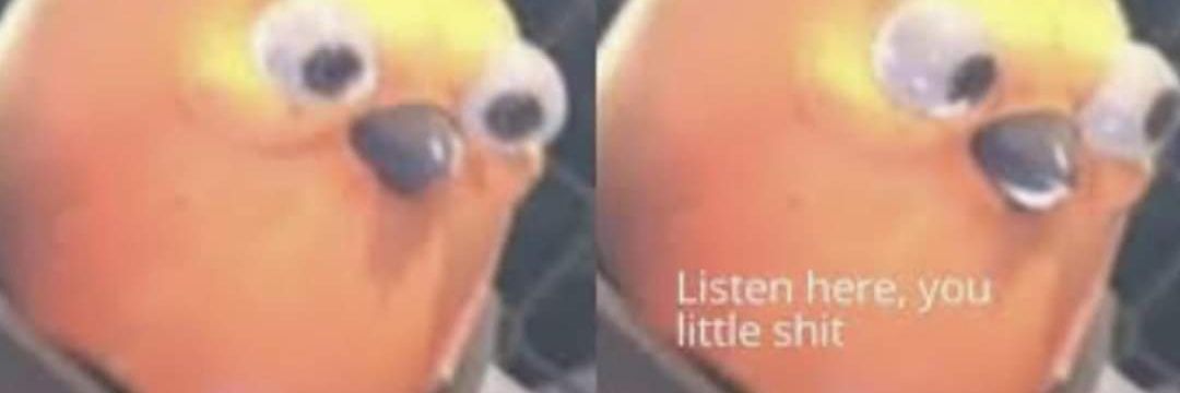 MrVerscharren's profile banner image