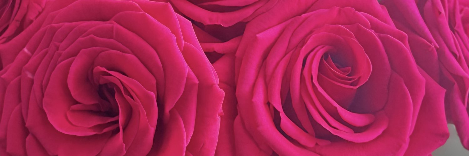 prissylopez_'s profile banner image