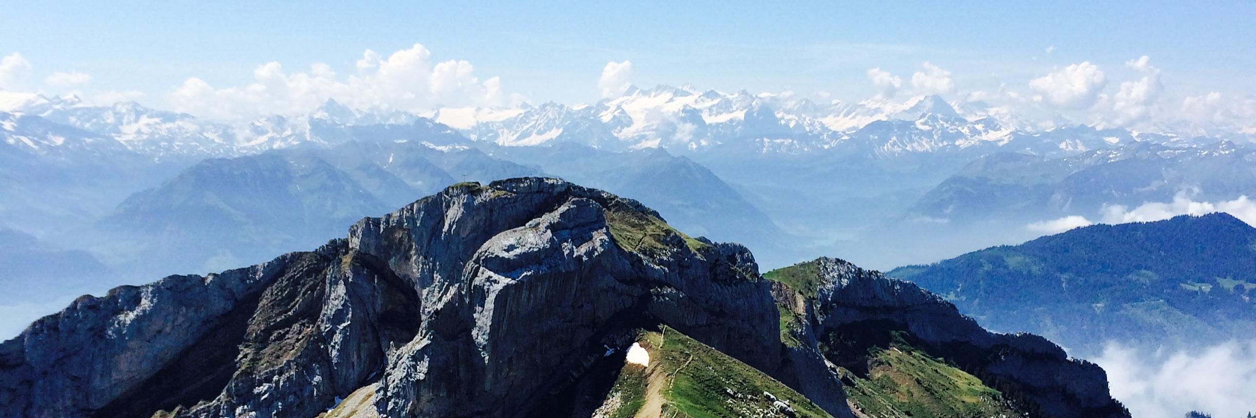 Sarah K Adams banner