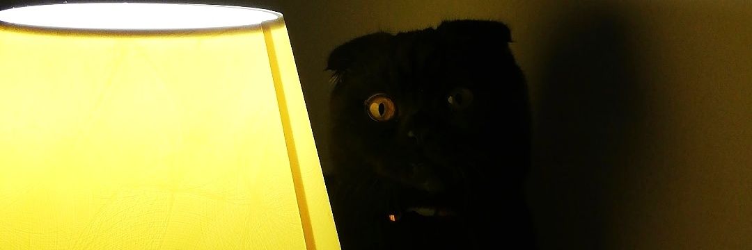 anonimzerey's profile banner image