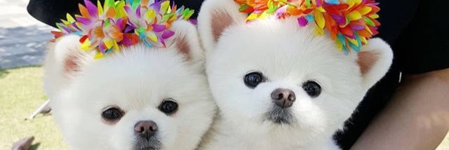 ku_s26's profile banner image