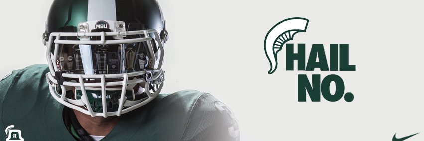 MsuNancy's profile banner image
