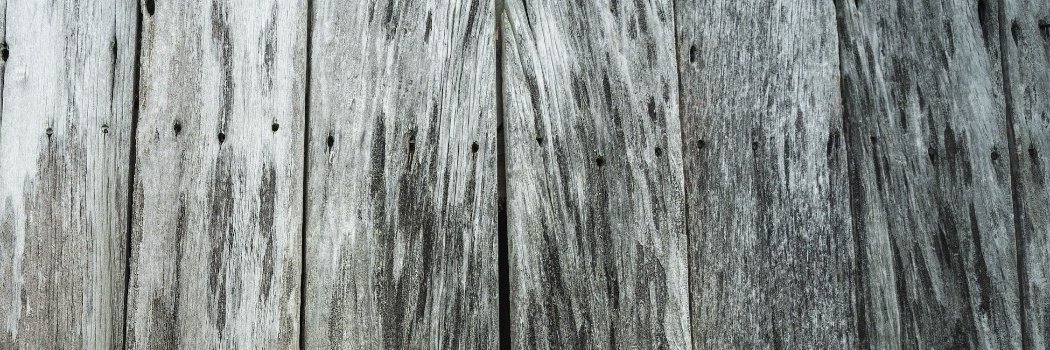 Megan Arnold Trivett banner