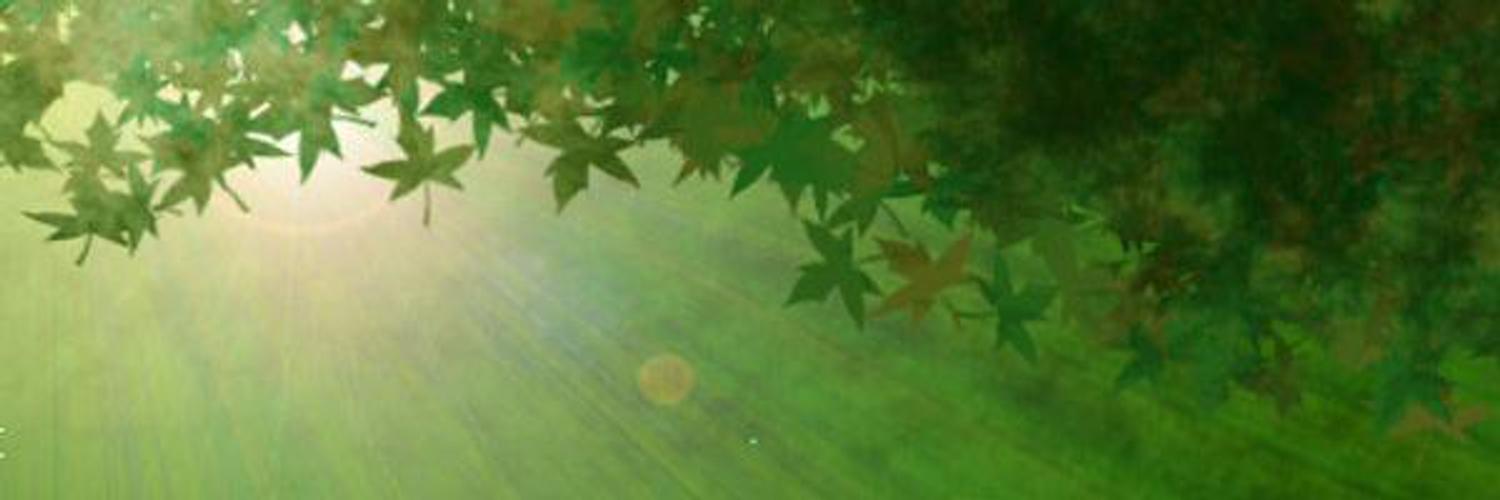 Irvinekinness's profile banner image