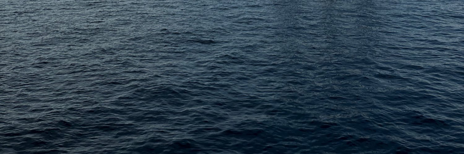 CaroRangell's profile banner image