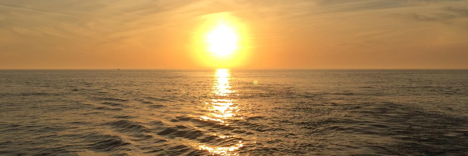 Hannah_Appelo's profile banner image
