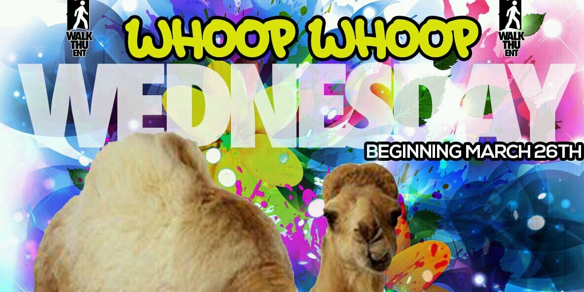WalkThu's profile banner image