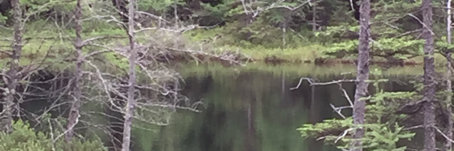 LinssenTodd's profile banner image
