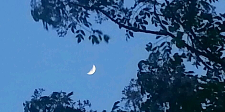 JimBecker308's profile banner image