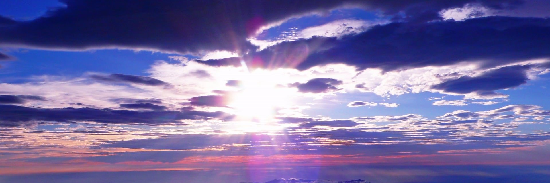 torippysun's profile banner image