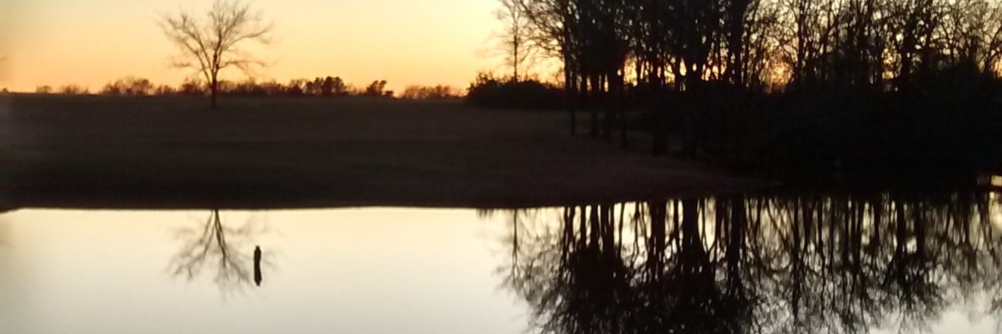 guinryan1's profile banner image