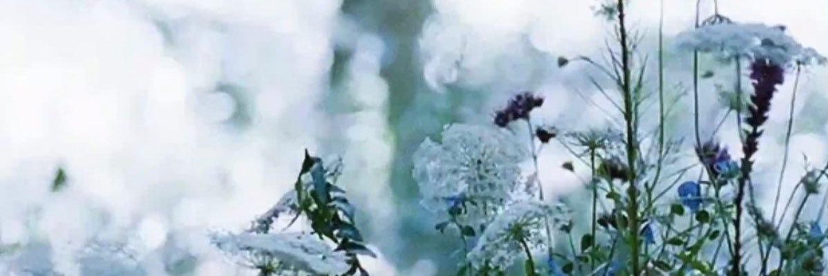 𝓜𝓮𝓵𝓲. banner