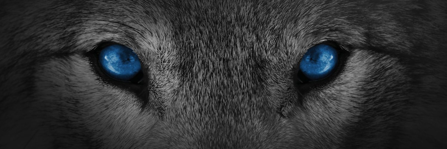 Silent_Approval's profile banner image