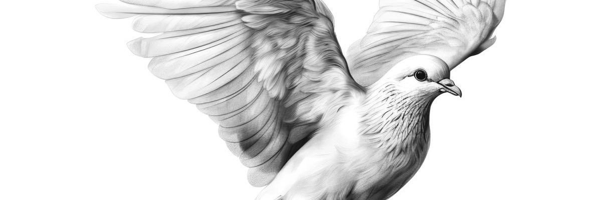 tucck7's profile banner image