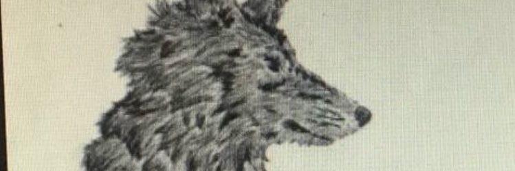 jnugardoni's profile banner image