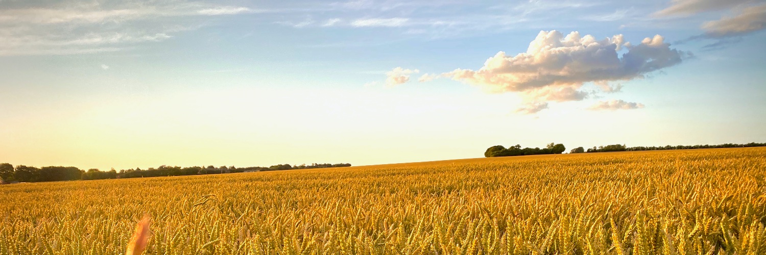 KasperBorch's profile banner image