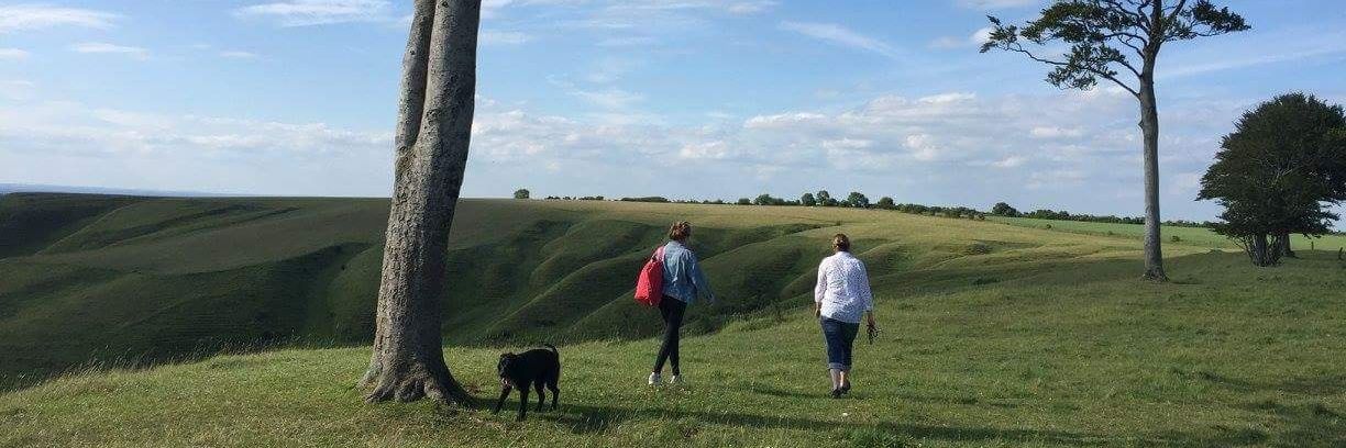 Livvyhalpin's profile banner image