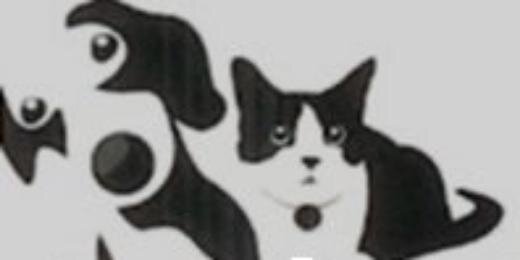 HFHkennels's profile banner image
