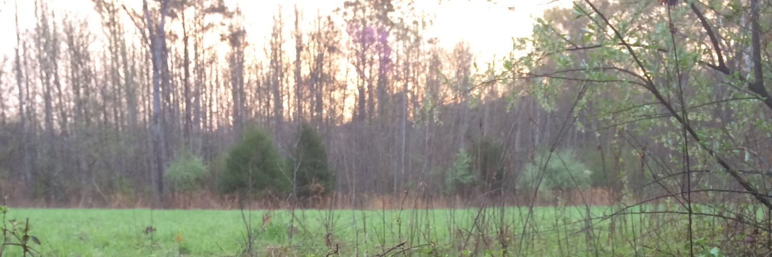 GGOW32's profile banner image