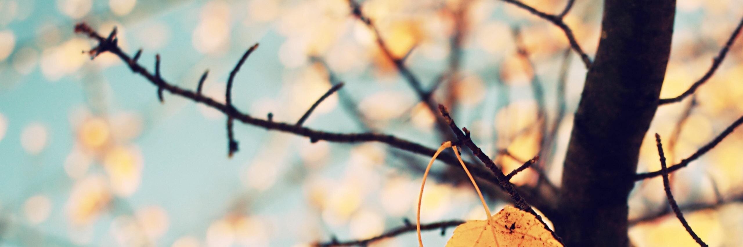 ReflexionesTOP's profile banner image