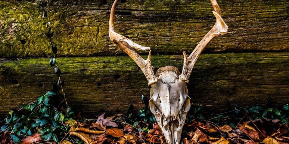 QuadeTomlin's profile banner image