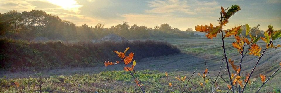 floedefax's profile banner image