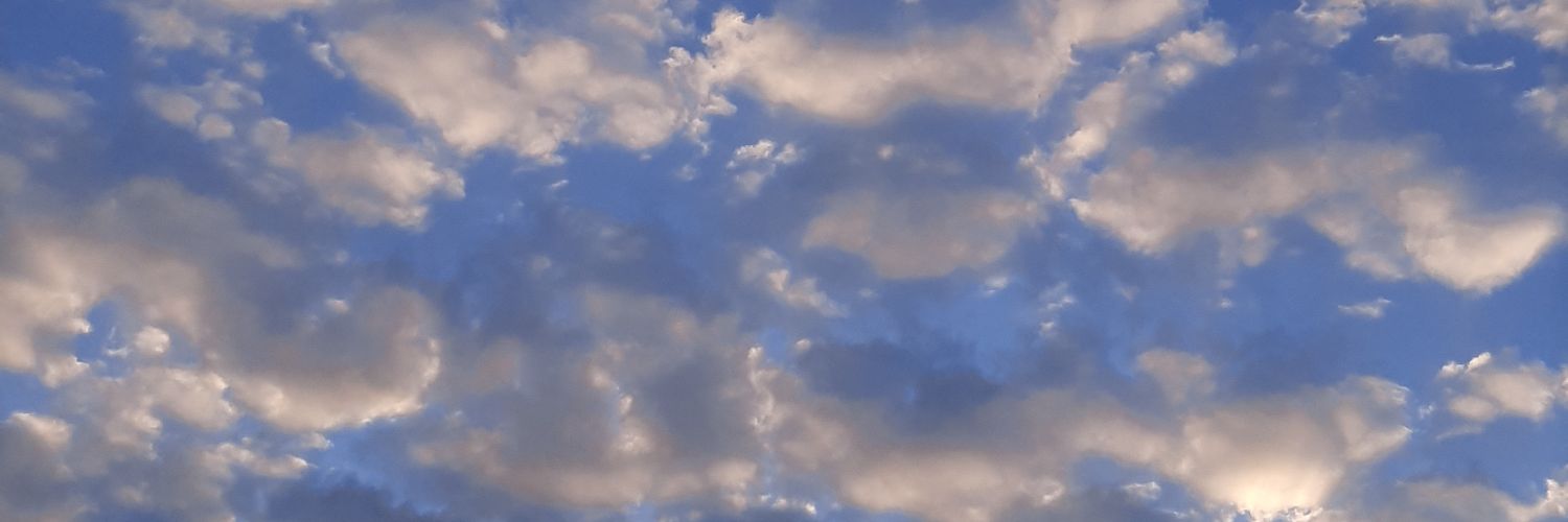 pepperollypizza's profile banner image
