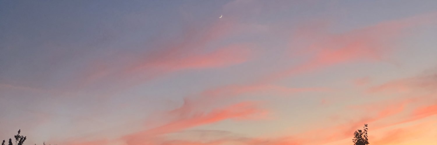 scumsesh's profile banner image