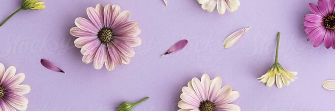 katieeeebeth's profile banner image