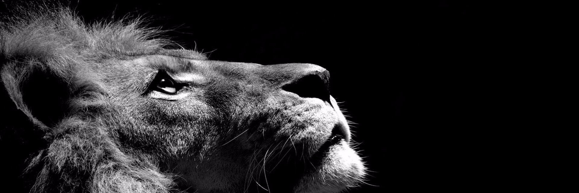 ByDomin19's profile banner image