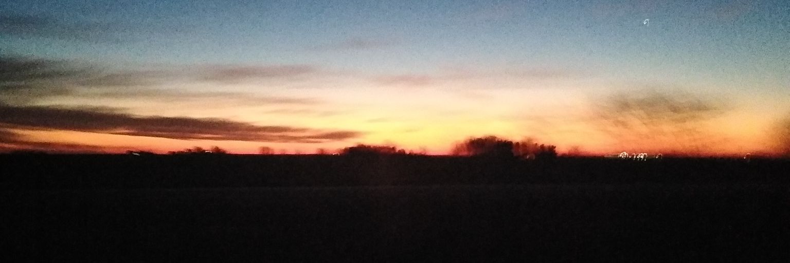 mixtecadave's profile banner image