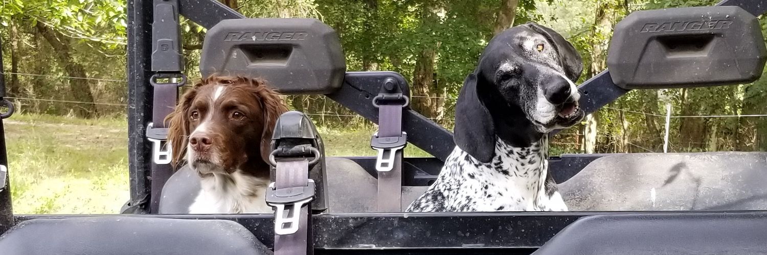 Jacque_SDRanch's profile banner image