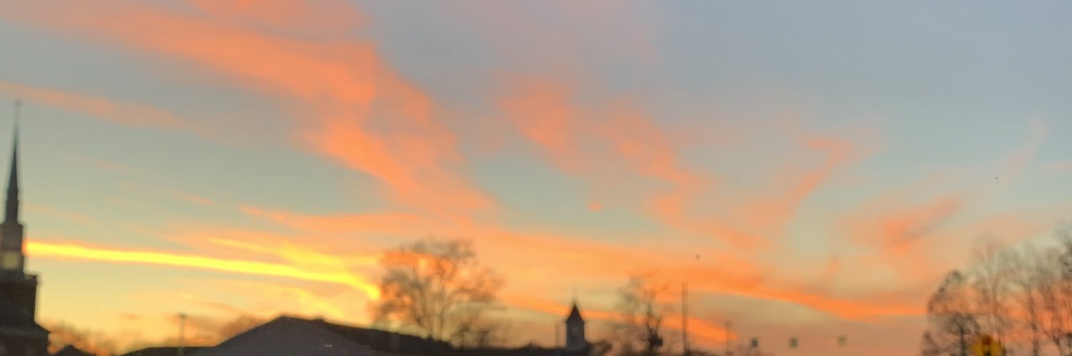 lisaloebglasses's profile banner image