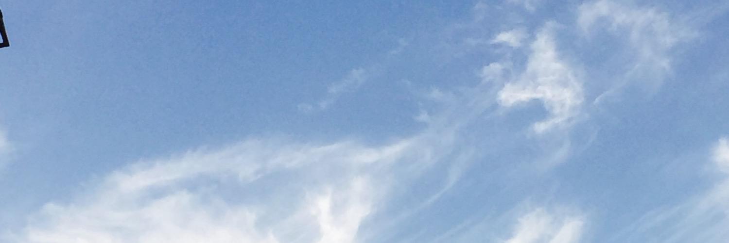 wefee0's profile banner image