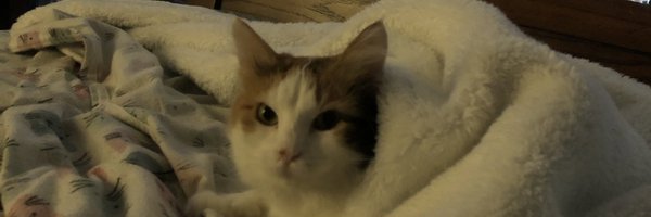 Kronk987 Profile Banner