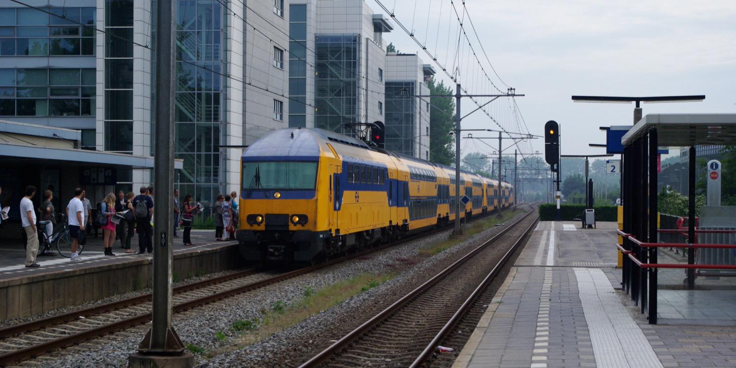 Matthew Picciotto banner