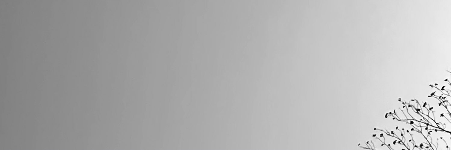 ramiroalejandr0's profile banner image