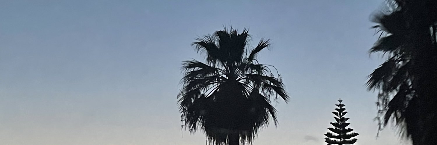 LupitaXaispuro's profile banner image
