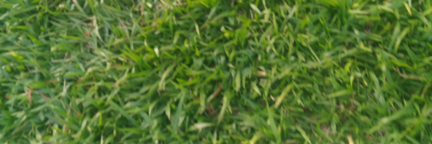 NandoFerMedina's profile banner image